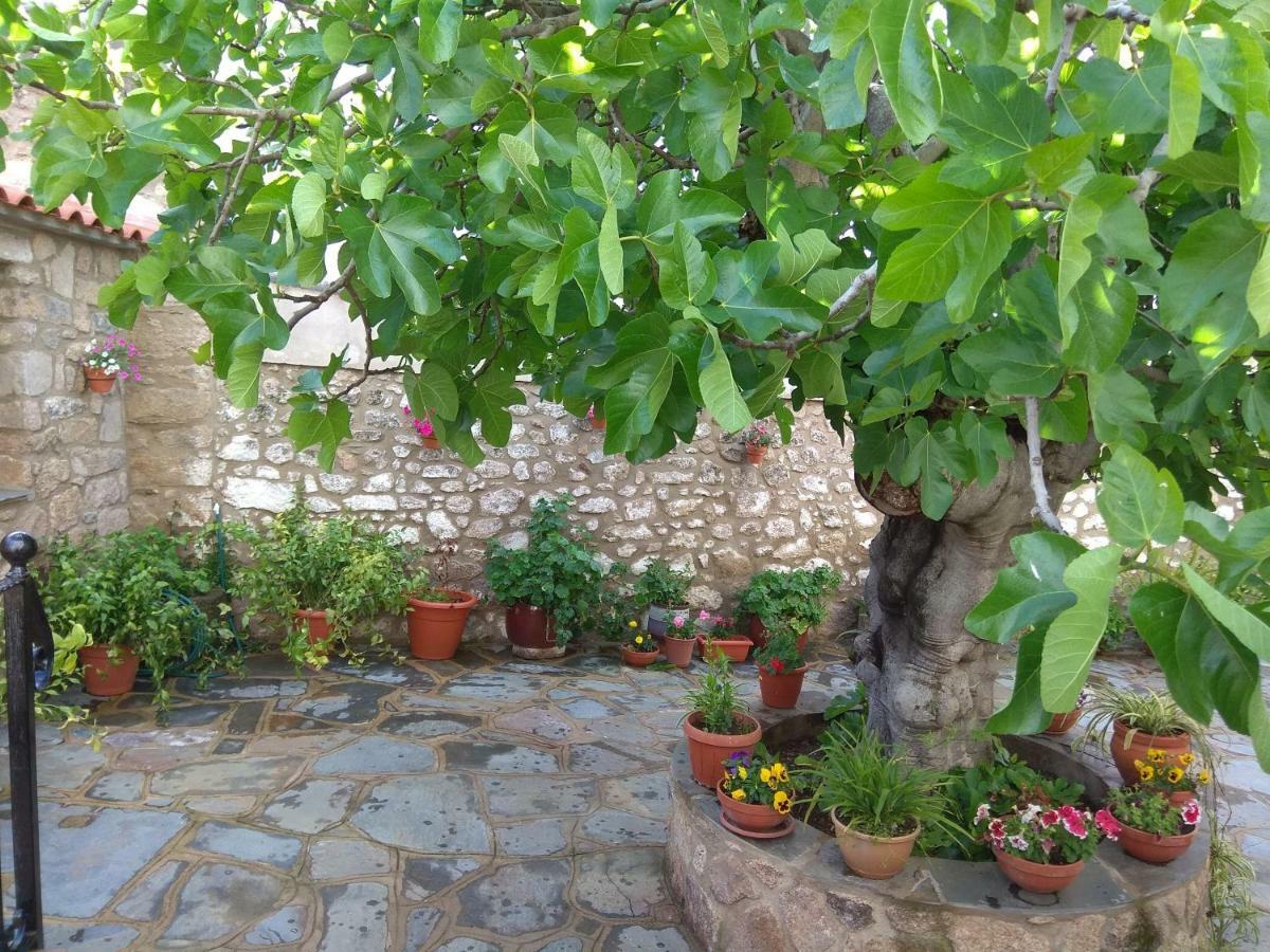 Apartamentos Rurales Tia Maria Mata de Alcántara المظهر الخارجي الصورة