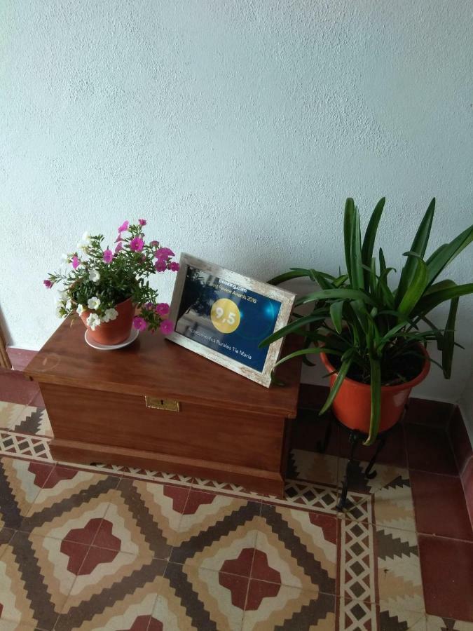 Apartamentos Rurales Tia Maria Mata de Alcántara المظهر الخارجي الصورة